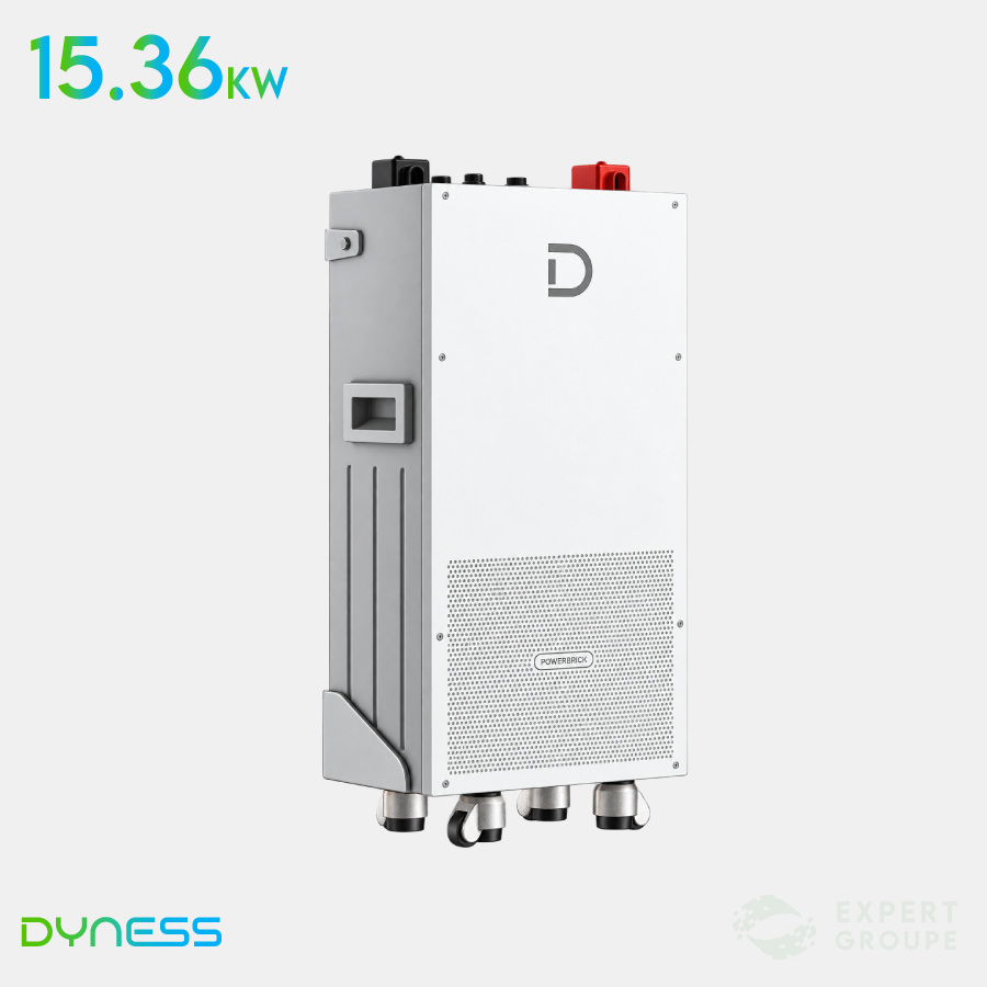 Batterie lithium Dyness PowerBrick 14,34 kWh LV